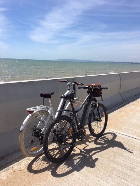 Rye Bay Ebikes Rye Bay Ebikes