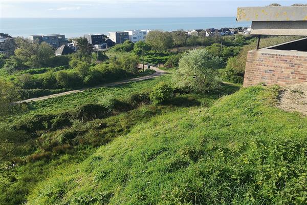 Cliff Dean, Keith Swallow: Wonders of Pett Level