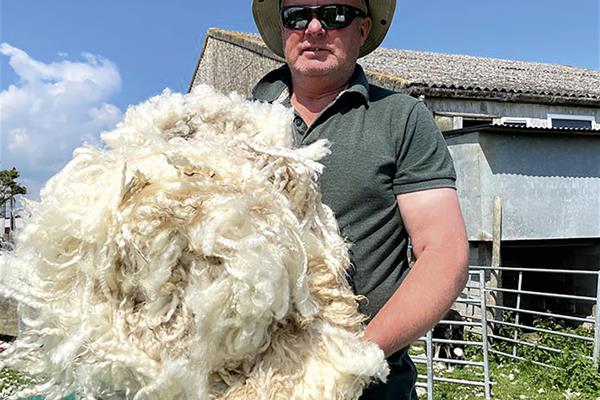 Tony Pierce: Visit a Working Sheep Farm